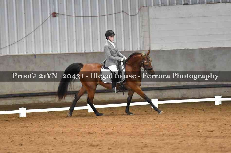 Proof Number 21YN_20431