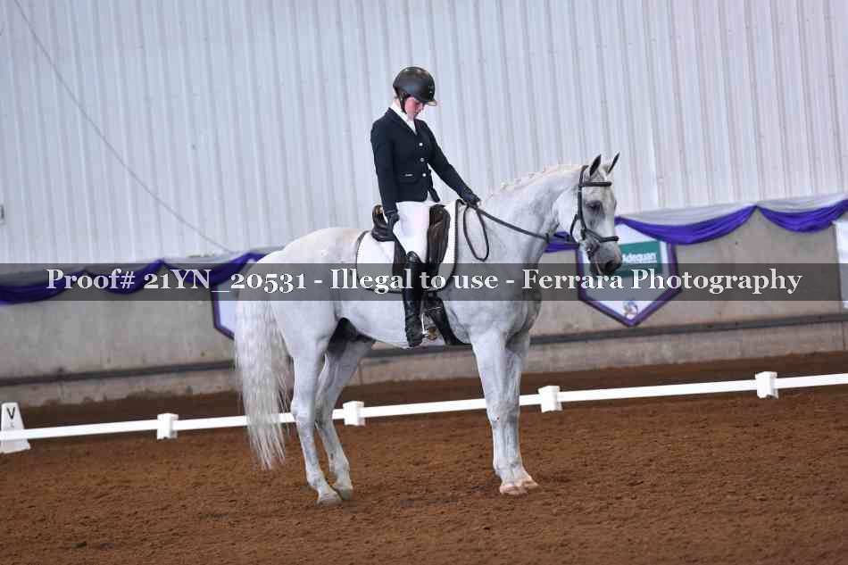 Proof Number 21YN_20531