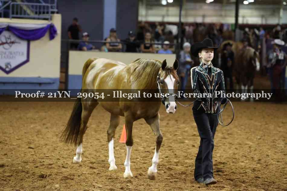 Proof Number 21YN_29054