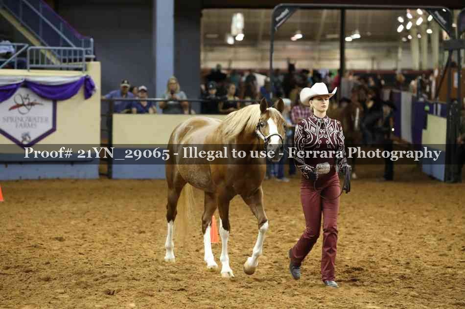 Proof Number 21YN_29065