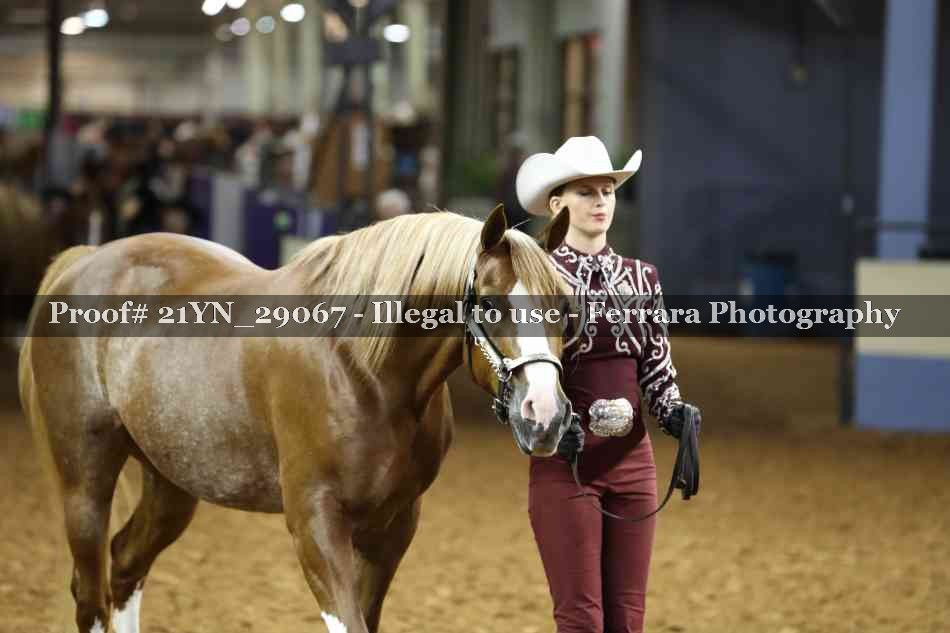 Proof Number 21YN_29067