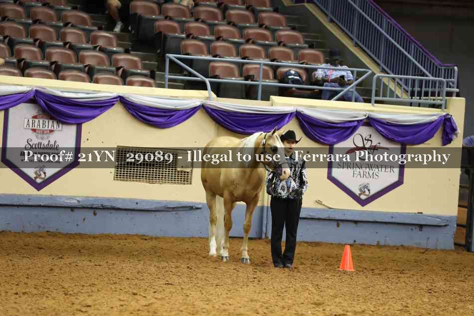 Proof Number 21YN_29089