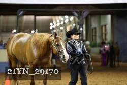 21YN_29170 thumbnail