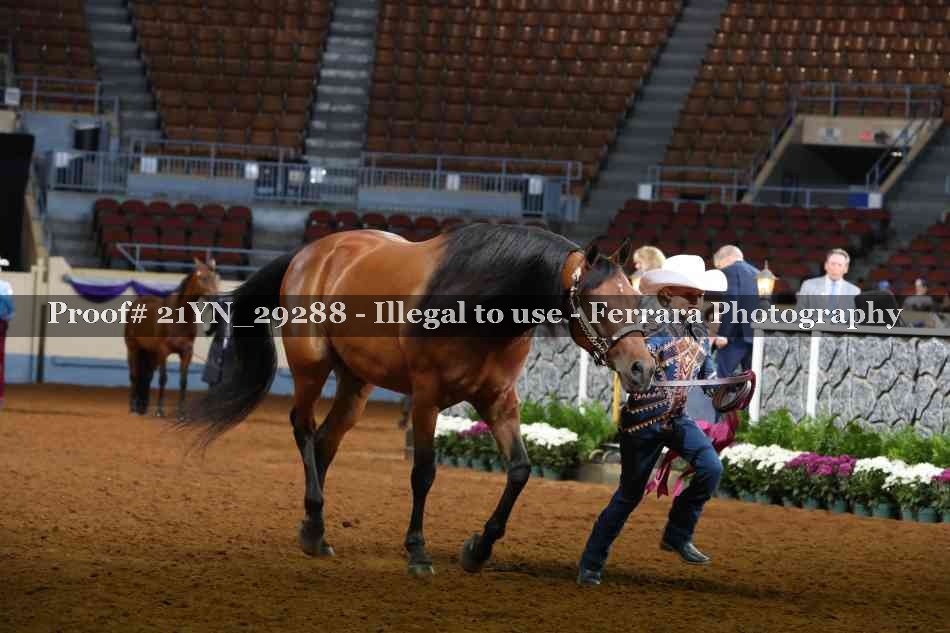 Proof Number 21YN_29288