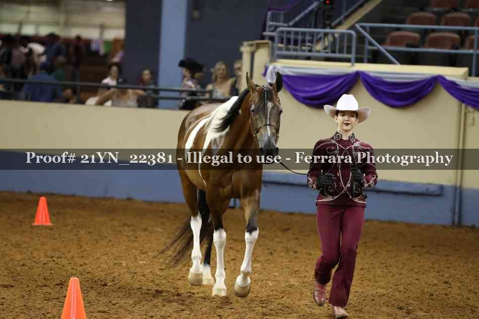 Proof Number 21YN_22381