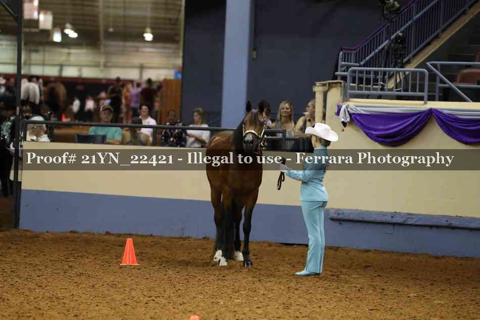 Proof Number 21YN_22421
