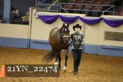 21YN_22474 thumbnail
