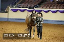 21YN_22477 thumbnail