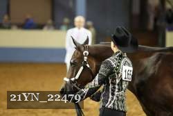 21YN_22479 thumbnail