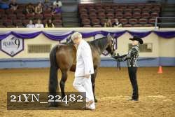 21YN_22482 thumbnail