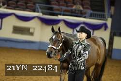21YN_22484 thumbnail