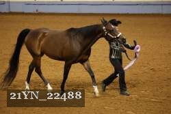 21YN_22488 thumbnail