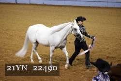 21YN_22490 thumbnail