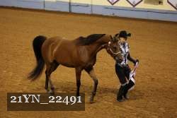 21YN_22491 thumbnail