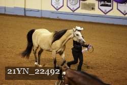 21YN_22492 thumbnail