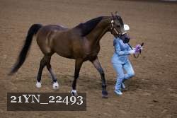 21YN_22493 thumbnail