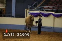 21YN_22999 thumbnail