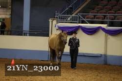 21YN_23000 thumbnail