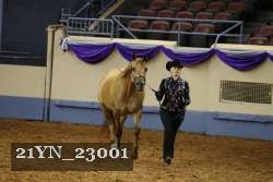 21YN_23001 thumbnail