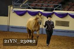 21YN_23002 thumbnail
