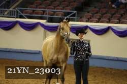 21YN_23003 thumbnail