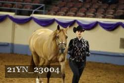 21YN_23004 thumbnail