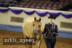 21YN_23005 thumbnail