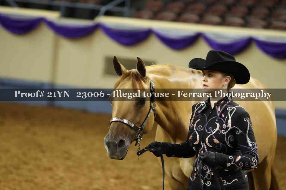 Proof Number 21YN_23006