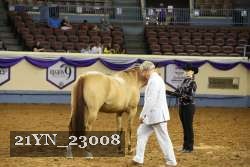 21YN_23008 thumbnail