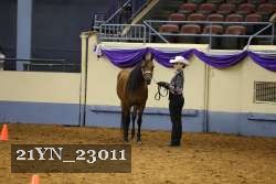 21YN_23011 thumbnail