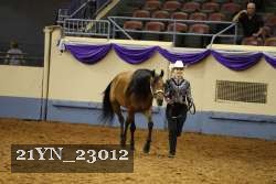 21YN_23012 thumbnail