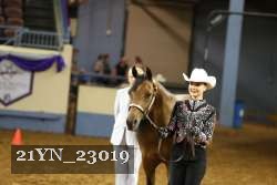 21YN_23019 thumbnail