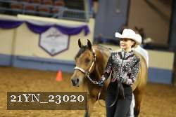 21YN_23020 thumbnail