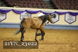 21YN_23022 thumbnail