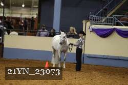 21YN_23073 thumbnail