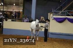 21YN_23074 thumbnail