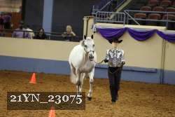 21YN_23075 thumbnail