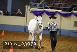 21YN_23076 thumbnail
