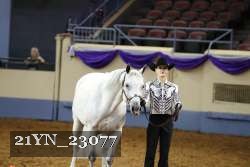 21YN_23077 thumbnail