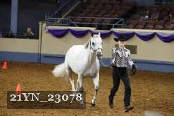 21YN_23078 thumbnail