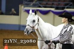 21YN_23080 thumbnail