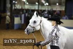 21YN_23081 thumbnail