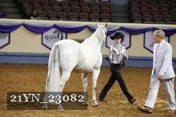 21YN_23082 thumbnail