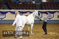 21YN_23084 thumbnail