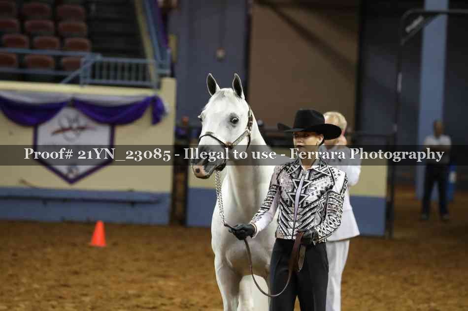Proof Number 21YN_23085