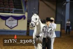 21YN_23085 thumbnail