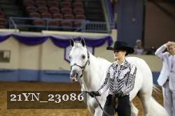 21YN_23086 thumbnail