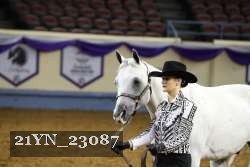 21YN_23087 thumbnail