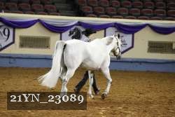 21YN_23089 thumbnail