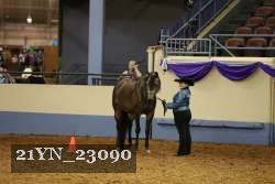 21YN_23090 thumbnail